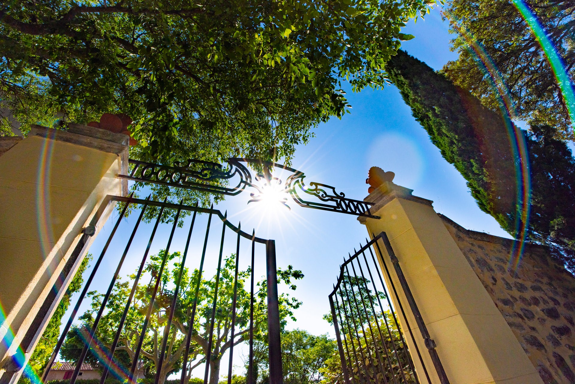 Portail Domaine Saint Esteve
